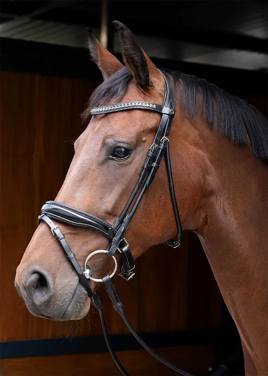 Уздечка с дутыми ремнями Lacque Full