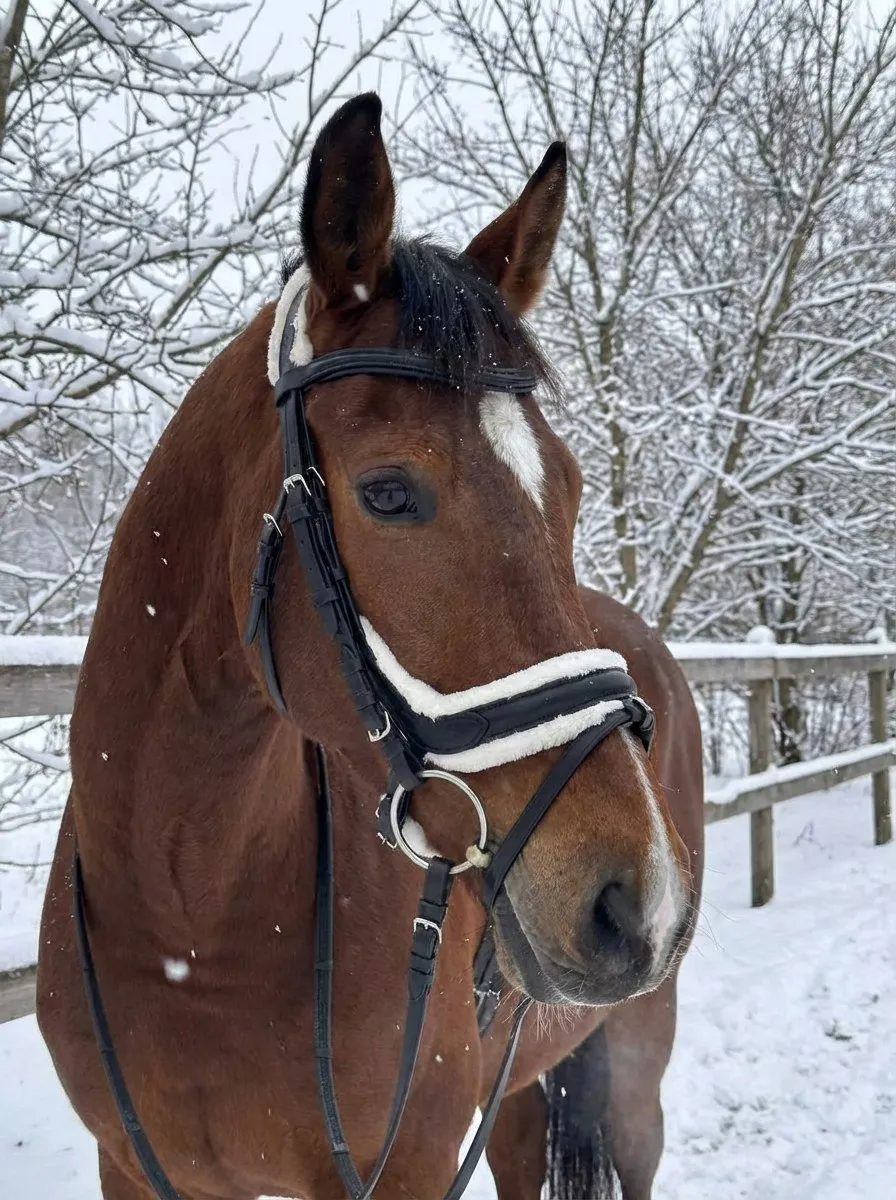 Трензельное оголовье с мехом Комфорт HorsePlanet