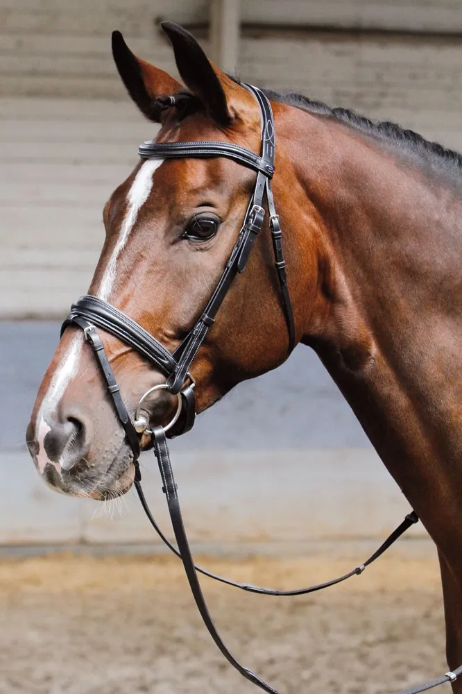 Уздечка с мягкой подложкой SOFT от Harry's Horse (COB, Черный)