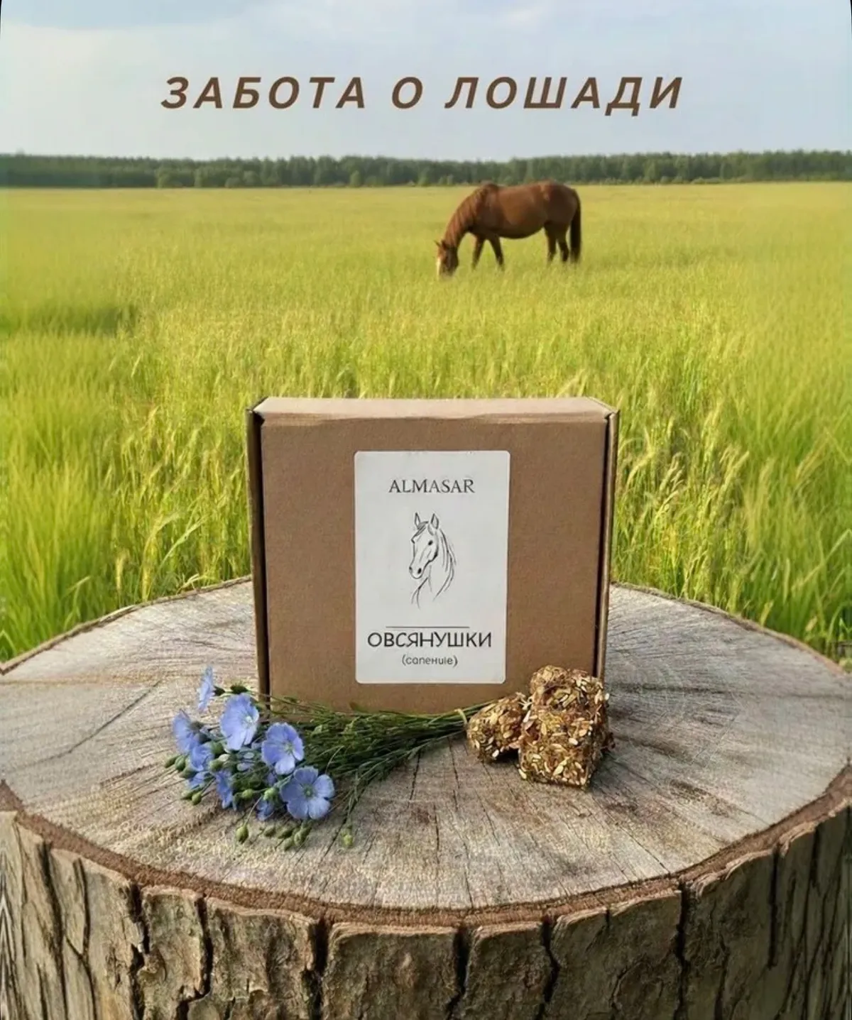 Овсянушки солёные