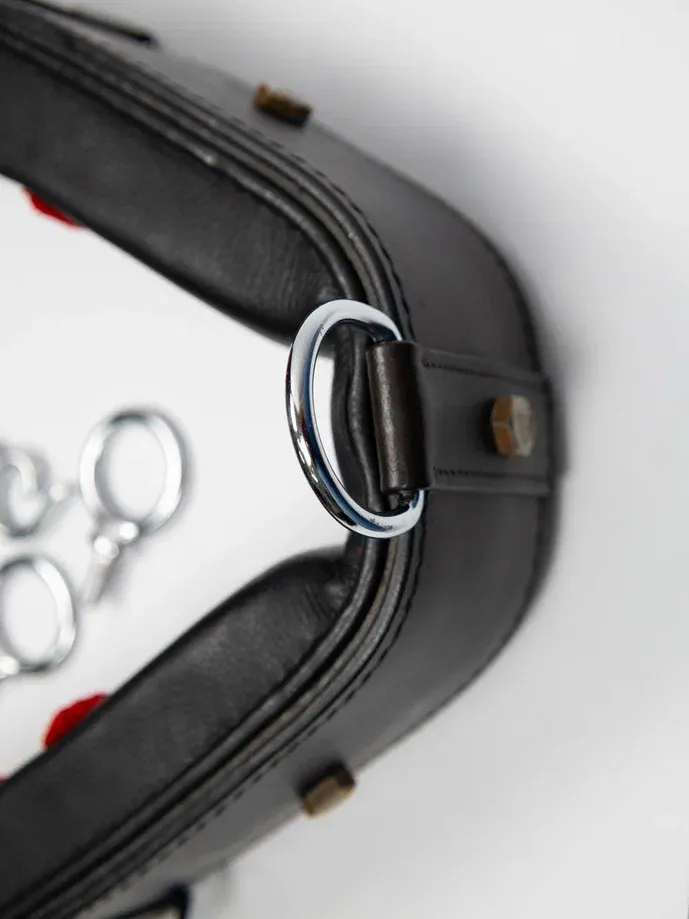 Тренинг система Lammert Haanstra