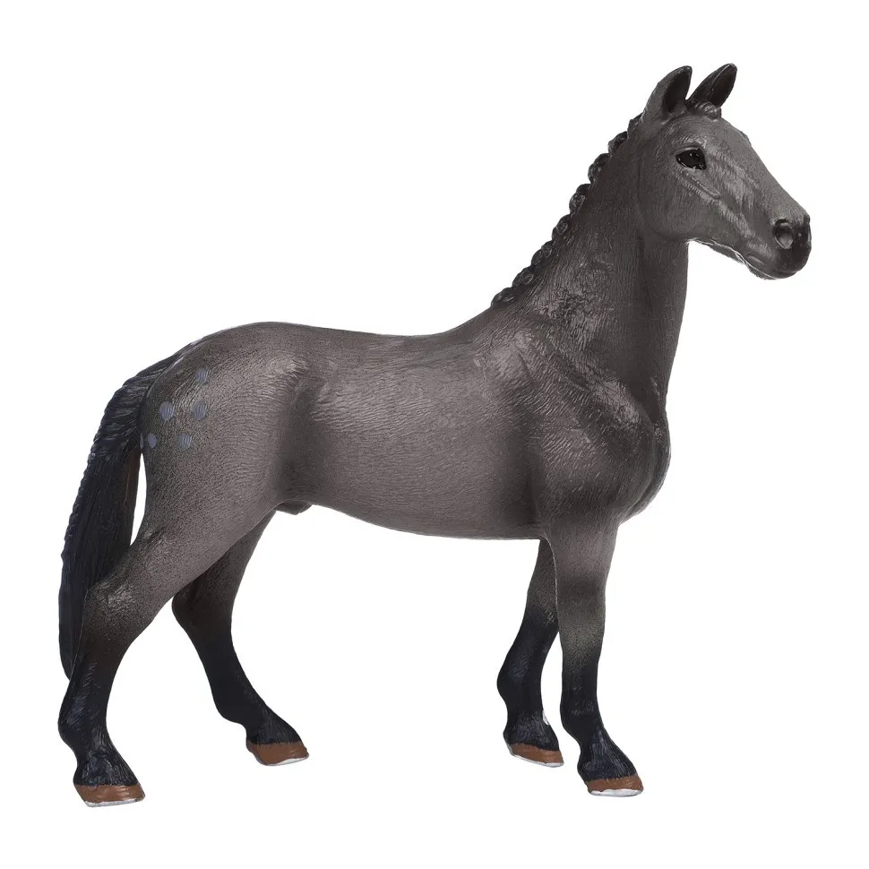 Лошадь и жеребенок, наездница и ограждение