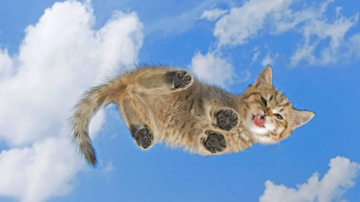 КЛИЕНТ