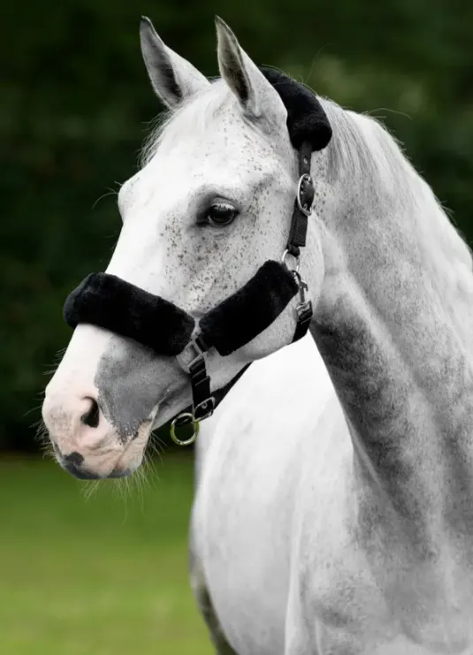 Недоуздок "LeMieux" с искусственным мехом