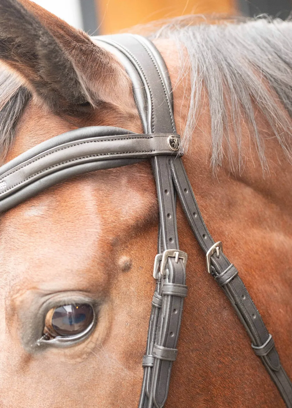 Уздечка со шведским капсюлем Soft Bombastic от Harry's Horse