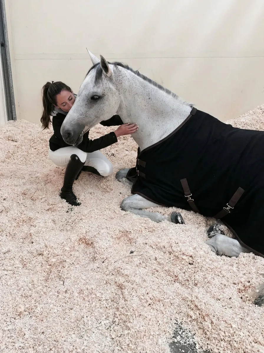 Попона шерстяная для лошади ОколоКони, цвет черный, р-р 135