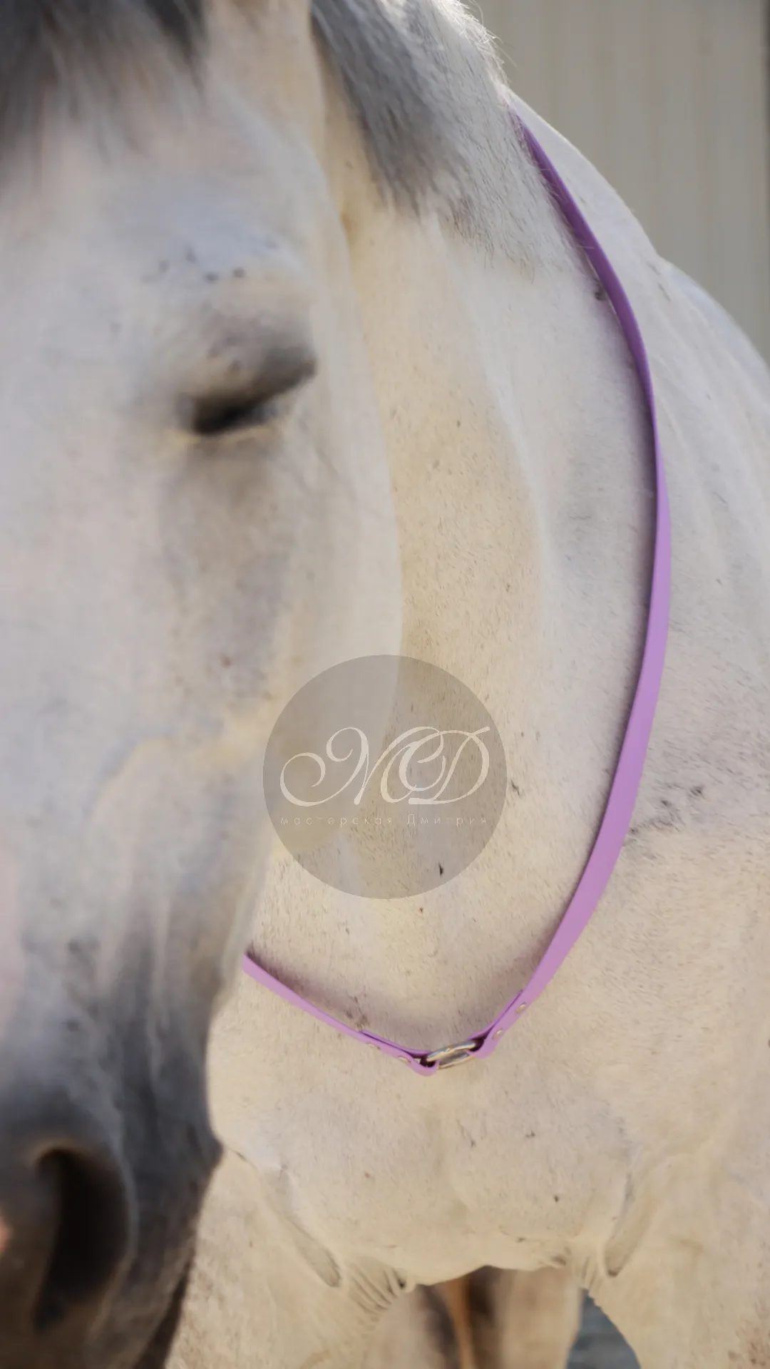 Кордео из биотана 