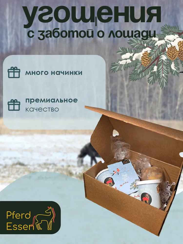 Бокс угощений для лошадей и пони PferdEssen (ликиты, козинаки, печенье)