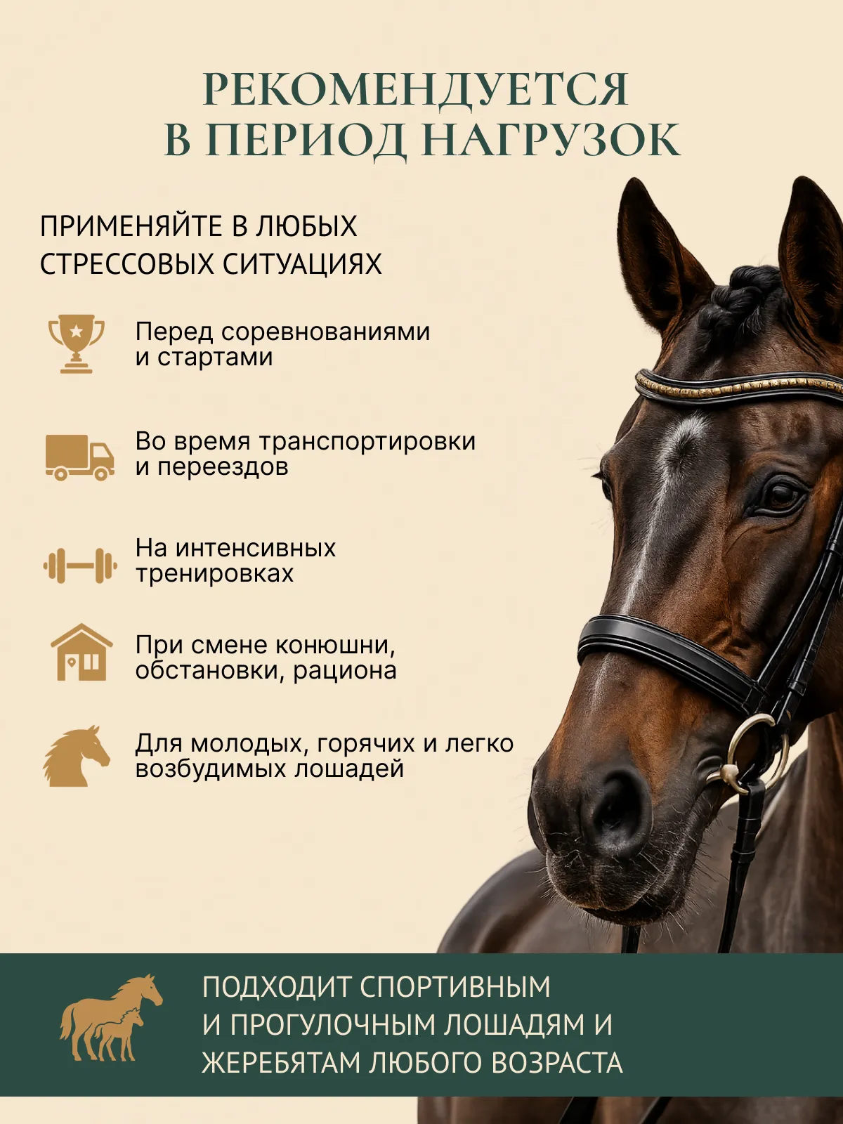 Успокаивающая подкормка для лошадей "МАГНИЙ PRO"