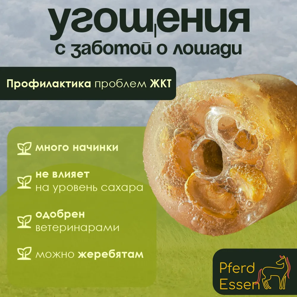 Лизунец (ликит) без сахара PferdEssen (фенхелевый)