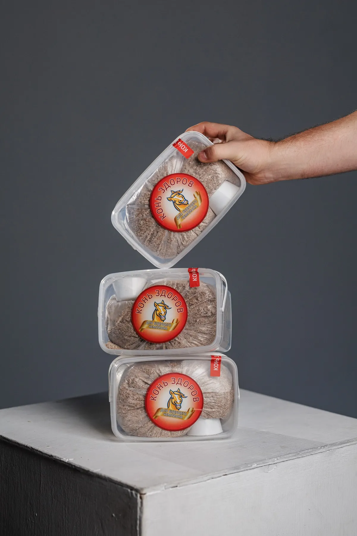 Для Будущих Чемпионов