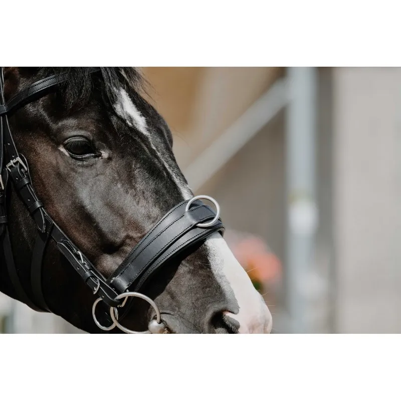 Капцунг кожаный NORTON черный