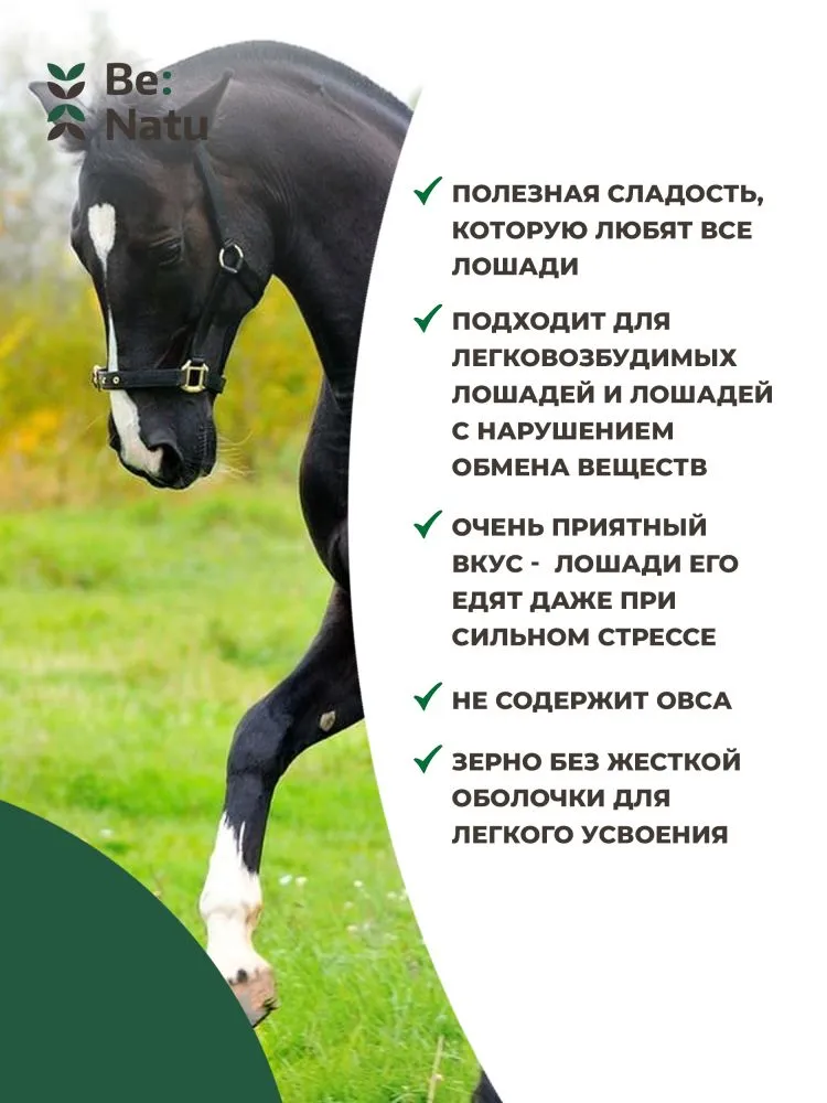 Be:Natu Tasty mash низкокалорийная каша с овощами, фруктами, ягодами и травами для лошадей, 20 кг