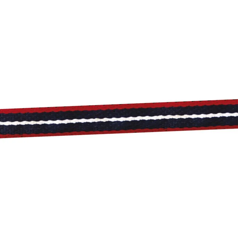 Недоуздок TRICOLOUR (синий/красный, cob)