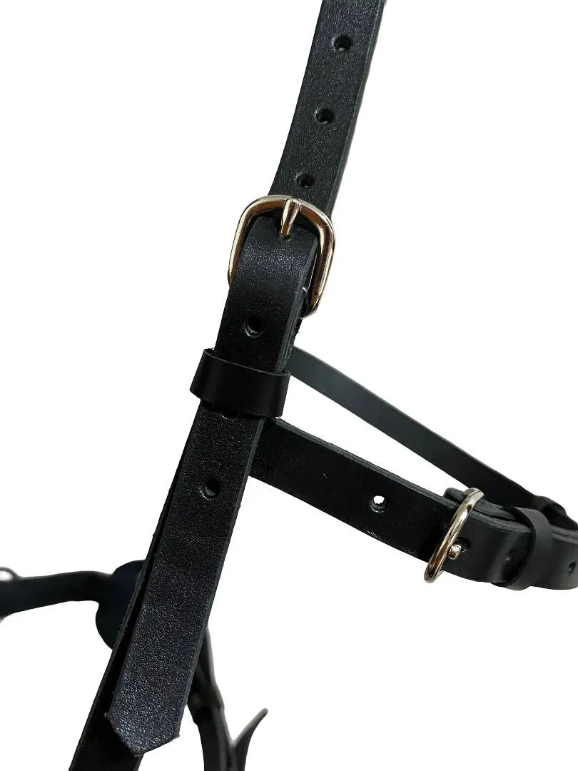 Кавессон с цепью Pony - Cob