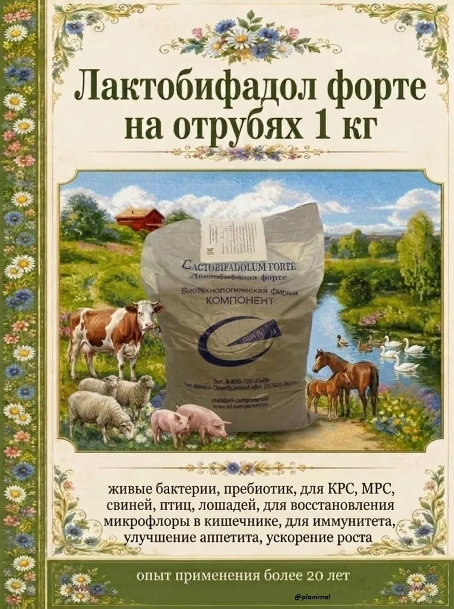 Компонент: Лактобифадол форте на муке пребиотическая кормовая добавка для телят, поросят, ягнят, жеребят, 1 кг