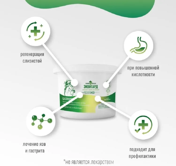 Horse-bio: Антацидное средство ЭквиГард GastroPro для лошадей, гастриты и язвы желудка, 1 кг