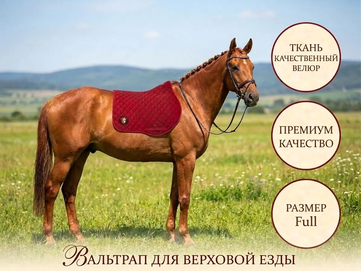 Вальтрап 
