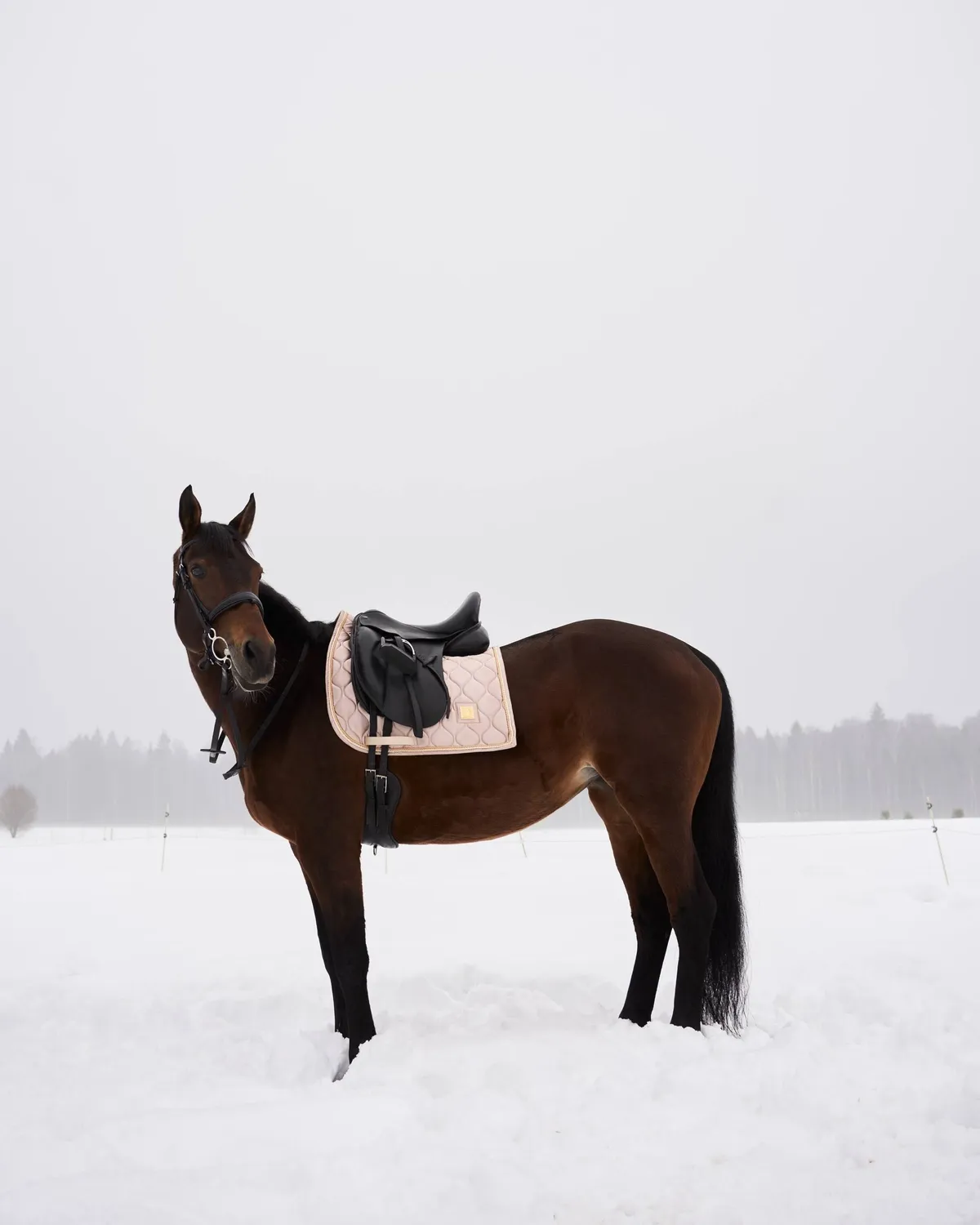 Вальтрап "Champagne" HORSEY DRESSAGE