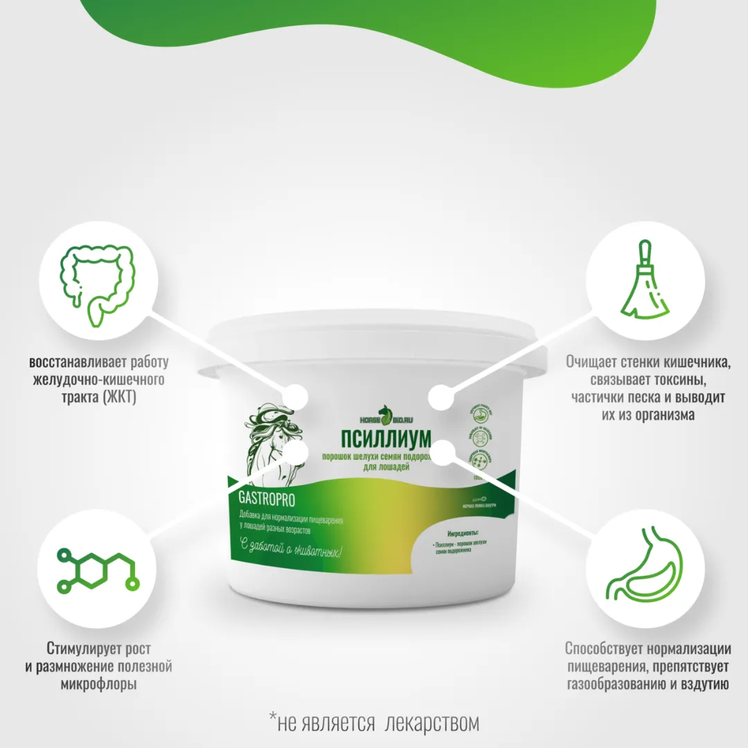 Псиллиум GastroPro 1000 г