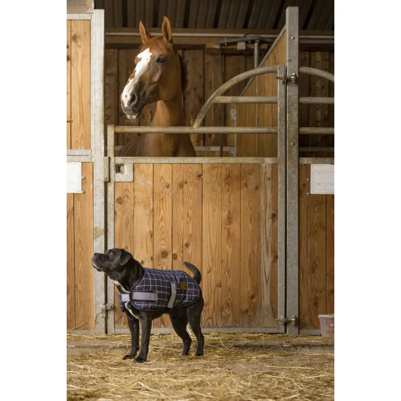 Попона зимняя COLORADO