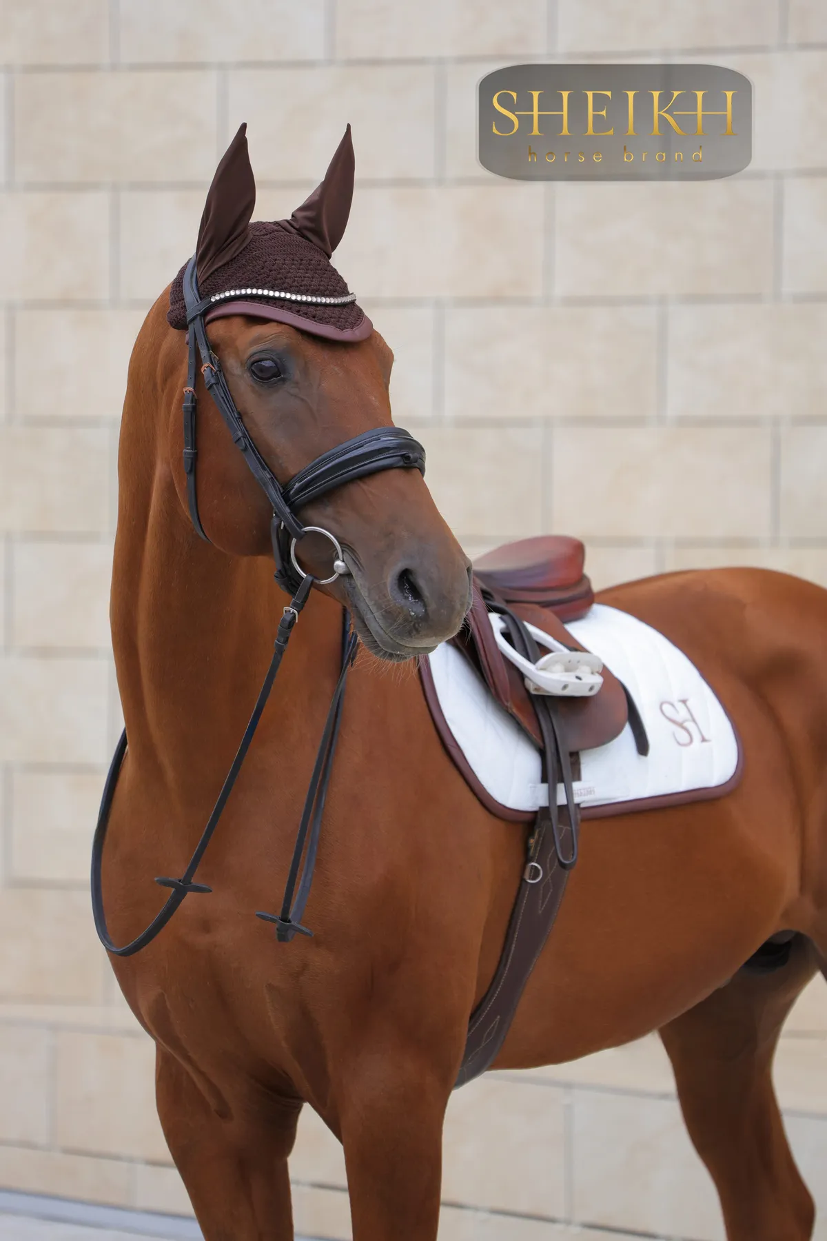 Вальтрап выездковый для верховой езды, конного спорта SHEIKH HORSE BRAND, коллекция FOREST, белый