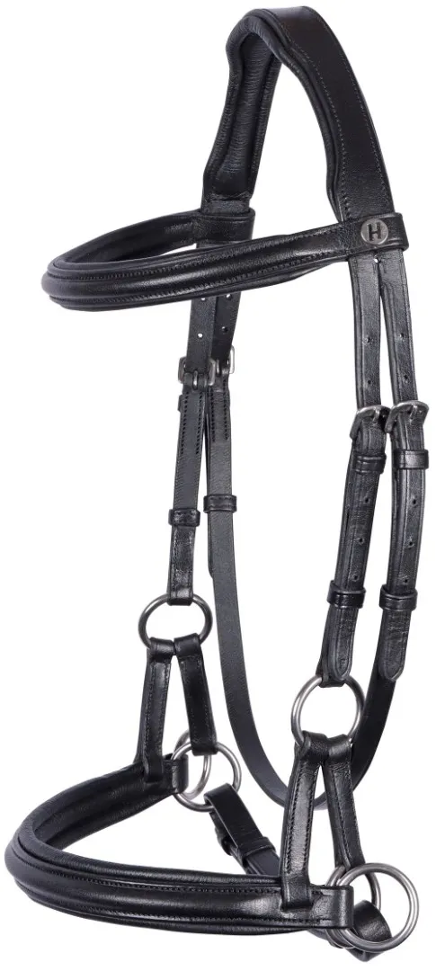 Безтрензельное оголовье