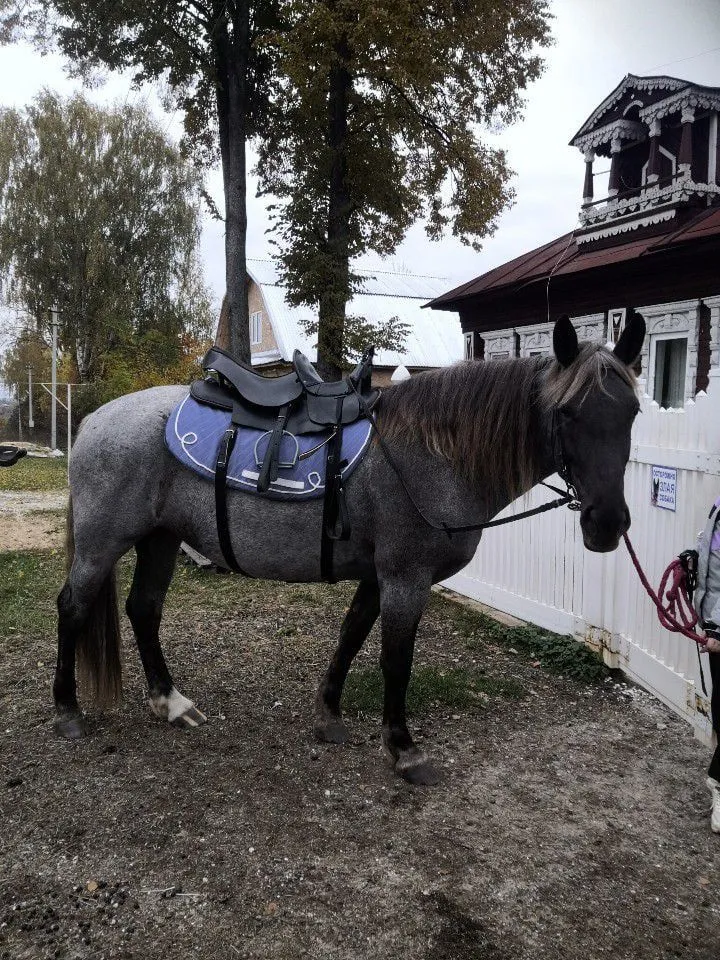 Седло для лошади двухместное комбинированное из натуральной кожи