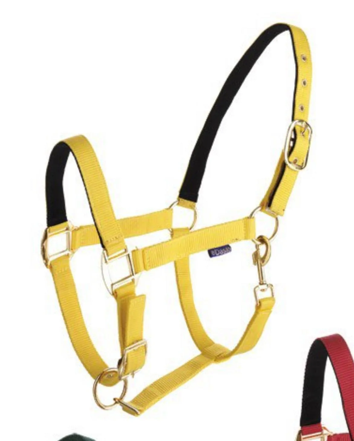 Недоуздок нейлон с подложкой Tattini желтый FULL