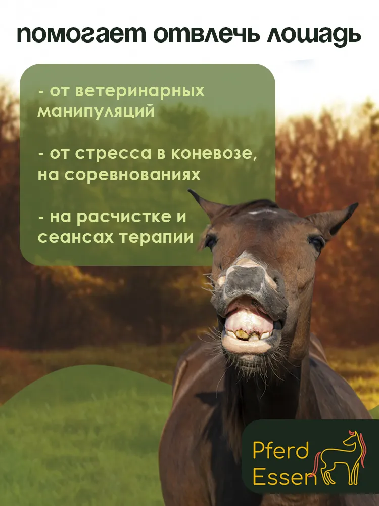 Лизунец (ликит) без сахара арбузный 620гр PferdEssen