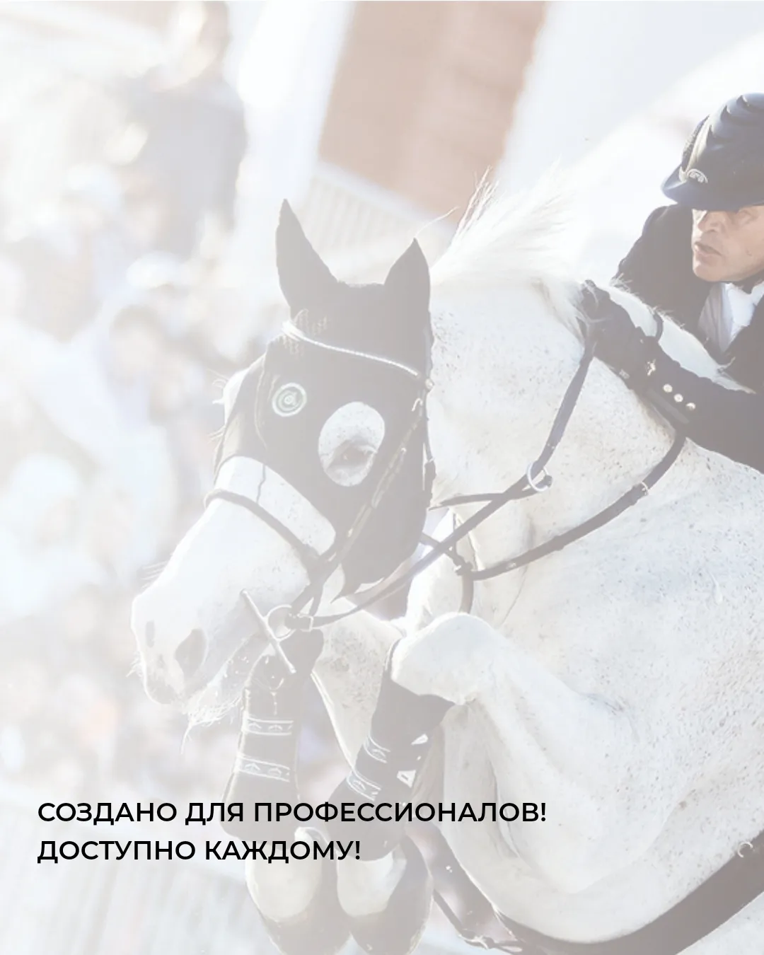 WG Влажные бесспиртовые салфетки для лошадей WG Equestrian Horse Clean Napkins