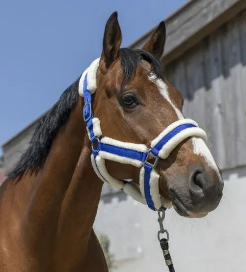 Недоуздок Cosy c искусственным мехом синий cob