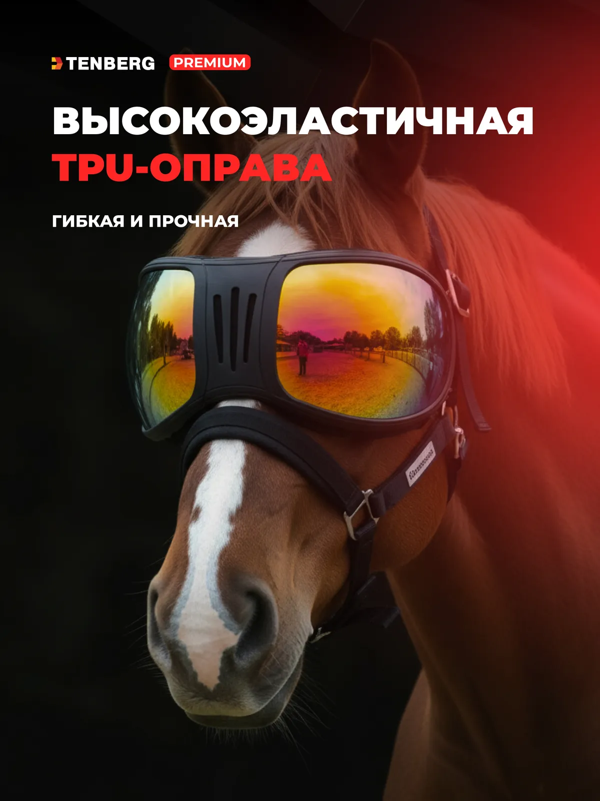 Очки для лошади TENBERG Stallion Vision UV Blue солнцезащитные (синий)