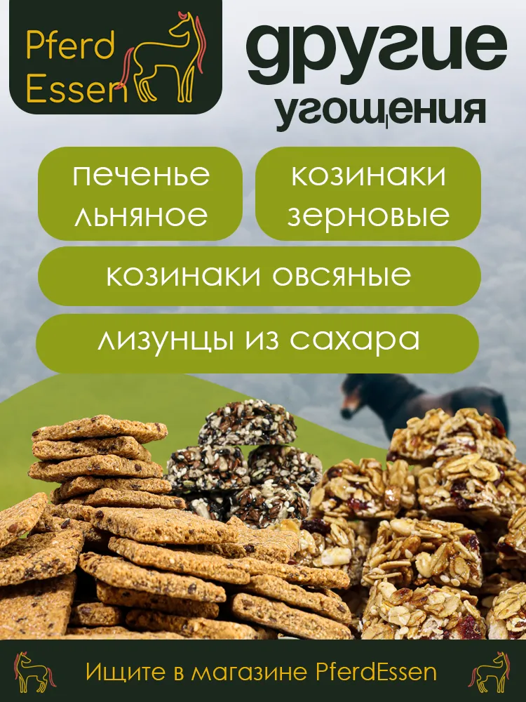 Лизунец (ликит) без сахара фенхелевый 670гр PferdEssen