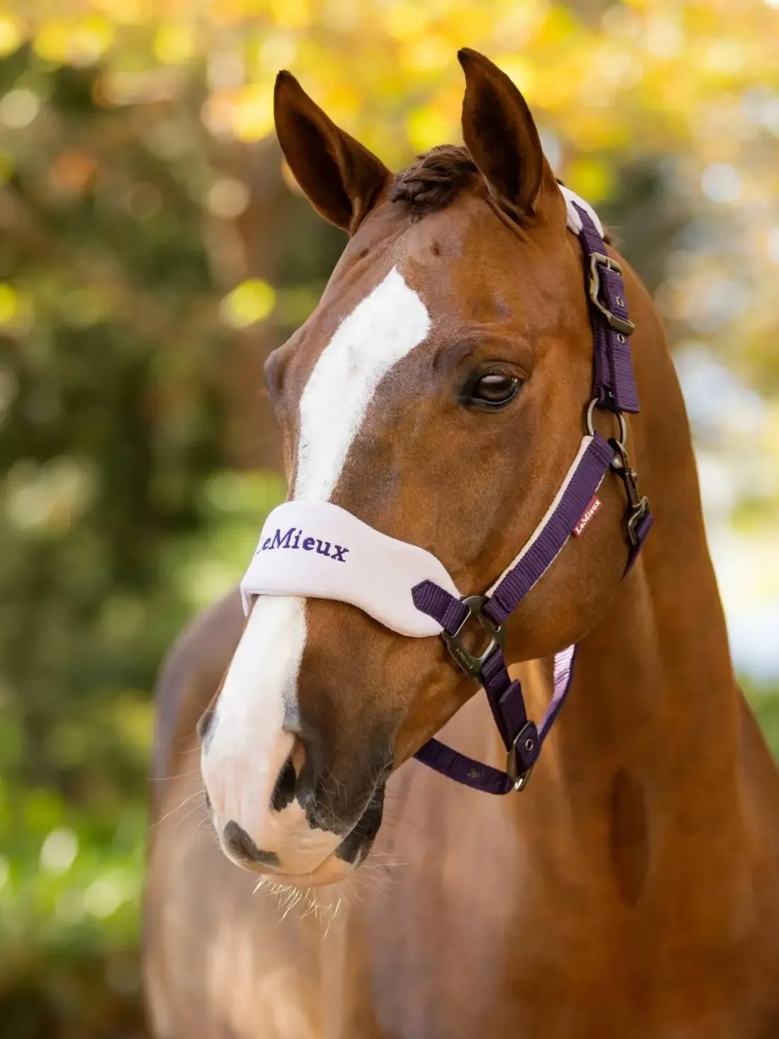 Недоуздок с чомбуром LeMieux