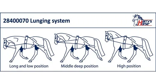 Шлея Пессоа для работы на корде