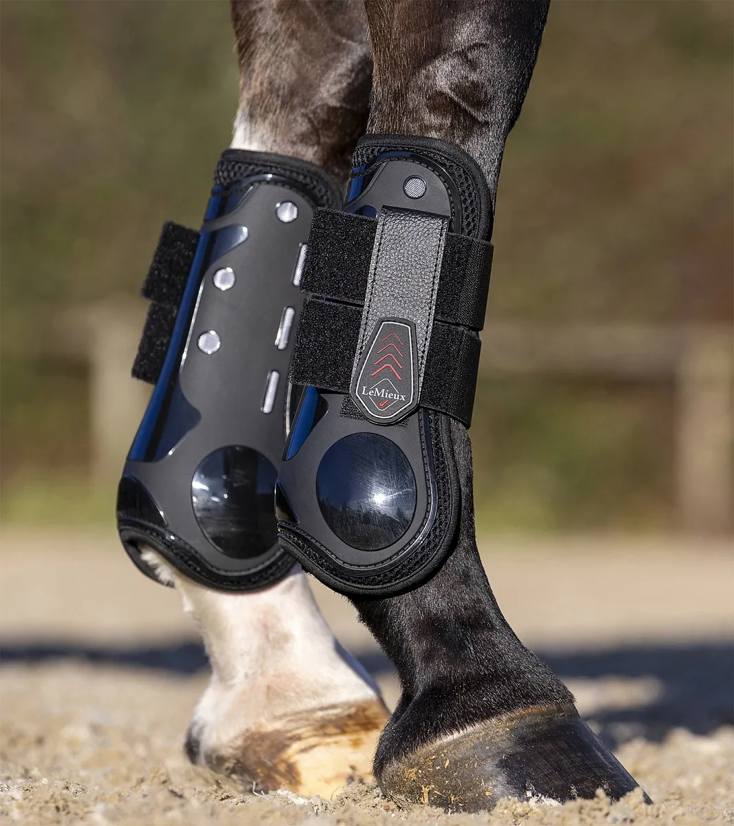 Ногавки для лошади комплект передние и задние Derby ProJump LeMieux, стан 4 шт.