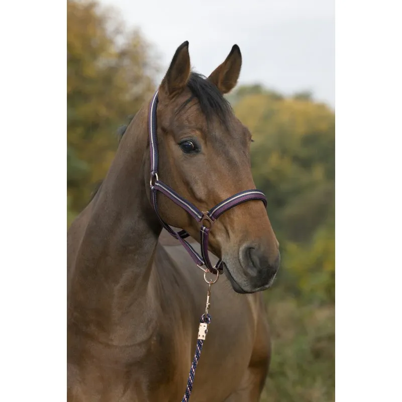 Недоуздок с подложкой + чомбур Brillant