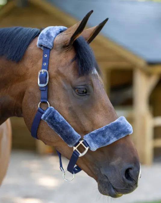 Недоуздок "LeMieux" с искусственным мехом