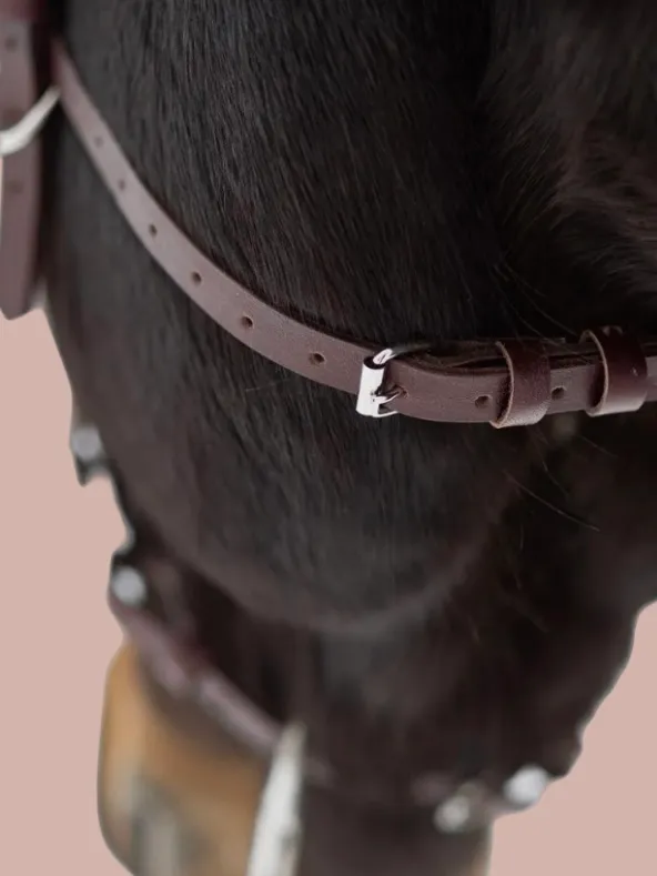 Кавессон Cob - Full