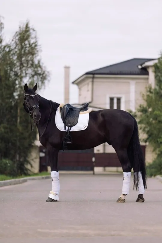 Вальтрап Air White выездка Diamond Zest