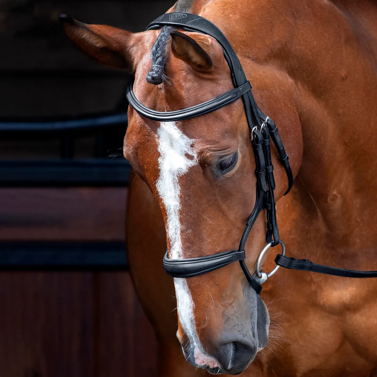 Оголовье Velociti RAPIDA "Jumping"