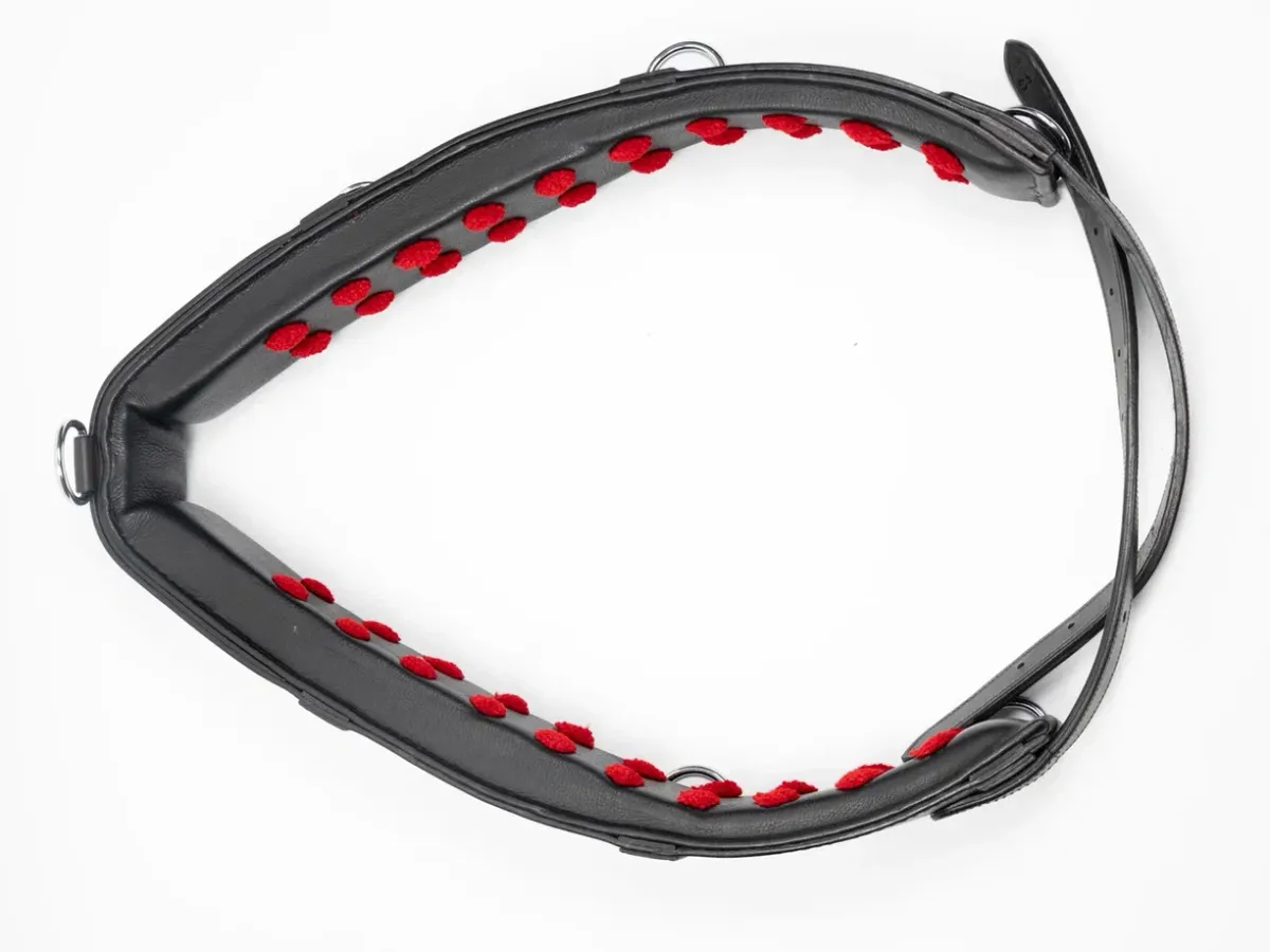 Тренинг система Lammert Haanstra