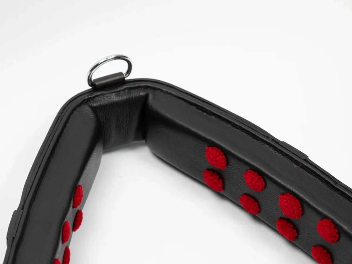 Тренинг система Lammert Haanstra