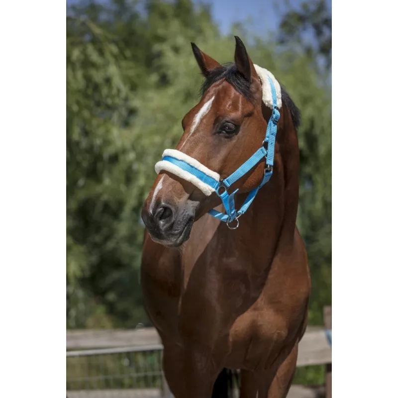 Недоуздок с мехом NORTON