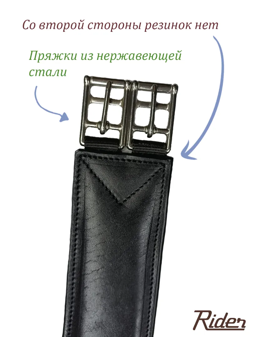 Подпруга анатомическая