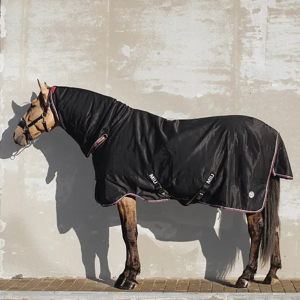 Попона денниковая HOME со вшитым капором на утеплителе