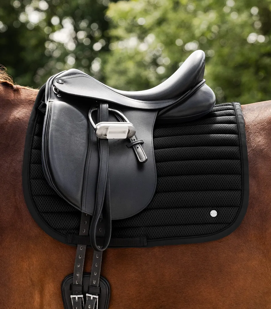 Вальтрап выездковый Rimini