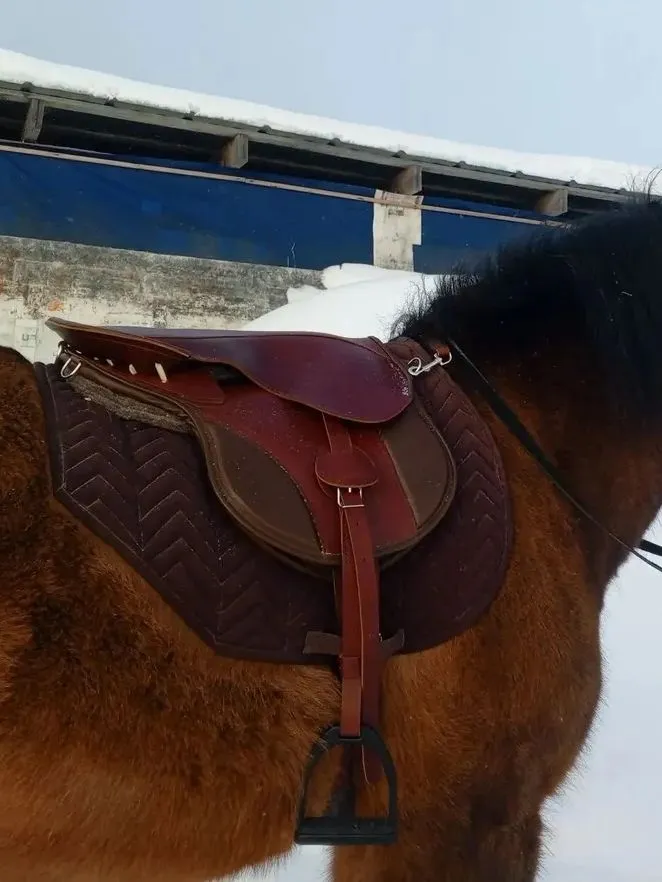 Седло для лошади