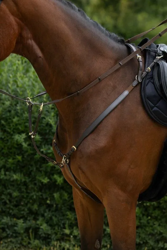 Подперсье с мартингалом Covalliero Breastplate COB